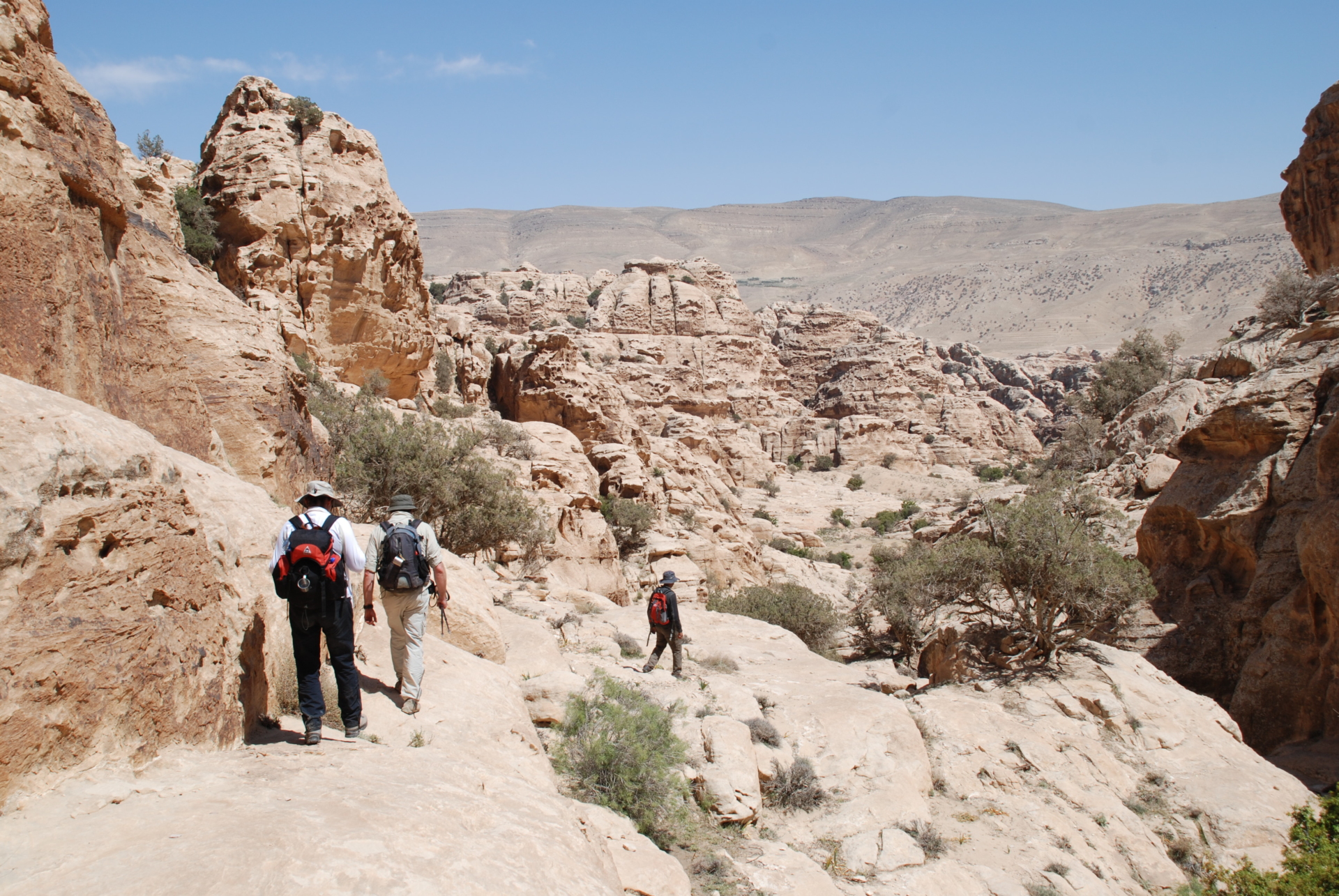 trek desert jordanie